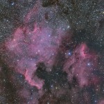北アメリカペリカン星雲